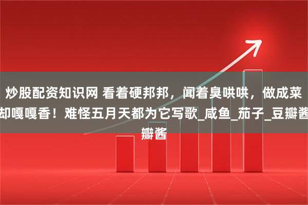 炒股配资知识网 看着硬邦邦，闻着臭哄哄，做成菜却嘎嘎香！难怪五月天都为它写歌_咸鱼_茄子_豆瓣酱
