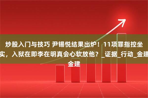 炒股入门与技巧 尹锡悦结果出炉！11项罪指控坐实，入狱在即李在明真会心软放他？_证据_行动_金建