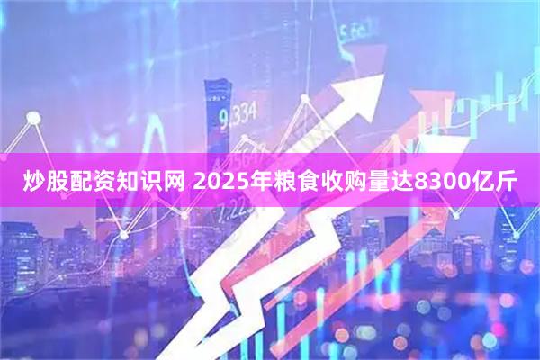 炒股配资知识网 2025年粮食收购量达8300亿斤