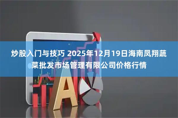 炒股入门与技巧 2025年12月19日海南凤翔蔬菜批发市场管理有限公司价格行情